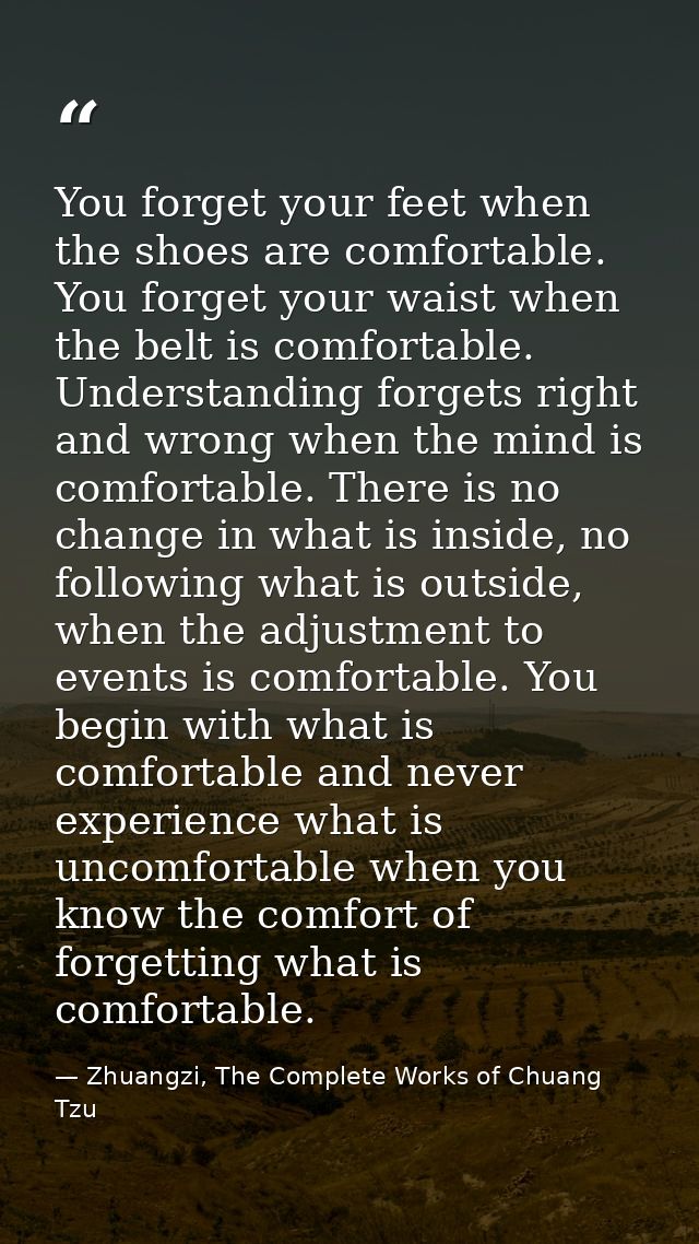 You forget your feet when the shoes are comfortable. You forget your waist when the belt is comfortable. Understanding f — Zhuangzi, The Complete Works of Chuang Tzu