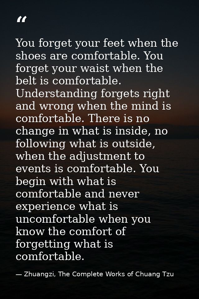 You forget your feet when the shoes are comfortable. You forget your waist when the belt is comfortable. Understanding f — Zhuangzi, The Complete Works of Chuang Tzu