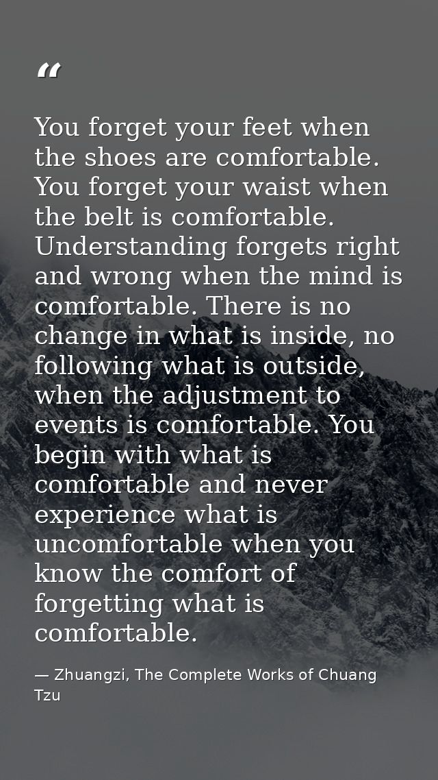 You forget your feet when the shoes are comfortable. You forget your waist when the belt is comfortable. Understanding f — Zhuangzi, The Complete Works of Chuang Tzu