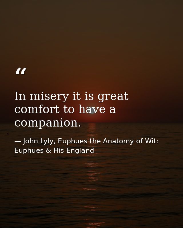 In misery it is great comfort to have a companion. — John Lyly, Euphues the Anatomy of Wit: Euphues & His England