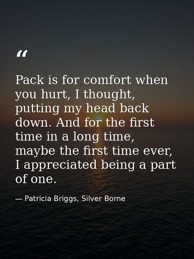 Pack is for comfort when you hurt, I thought, putting my head back down. And for the first time in a long time, maybe th — Patricia Briggs, Silver Borne