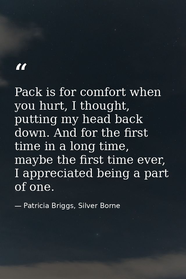 Pack is for comfort when you hurt, I thought, putting my head back down. And for the first time in a long time, maybe th — Patricia Briggs, Silver Borne