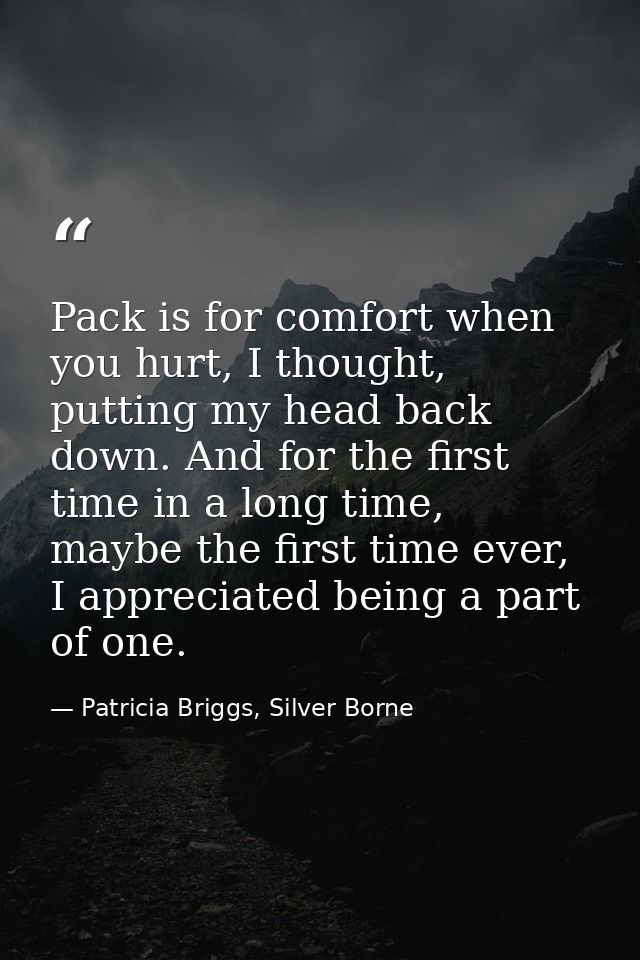 Pack is for comfort when you hurt, I thought, putting my head back down. And for the first time in a long time, maybe th — Patricia Briggs, Silver Borne