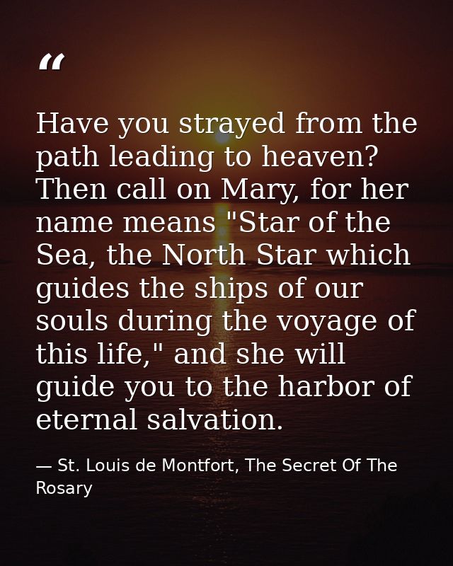 Have you strayed from the path leading to heaven? Then call on Mary, for her name means "Star of the Sea, the North Star — St. Louis de Montfort, The Secret Of The Rosary