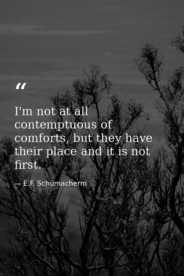 I'm not at all contemptuous of comforts, but they have their place and it is not first. — E.F. Schumacherm