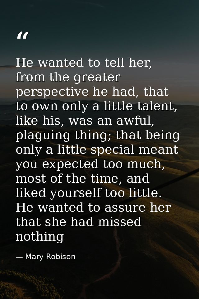 He wanted to tell her, from the greater perspective he had, that to own only a little talent, like his, was an awful, pl — Mary Robison