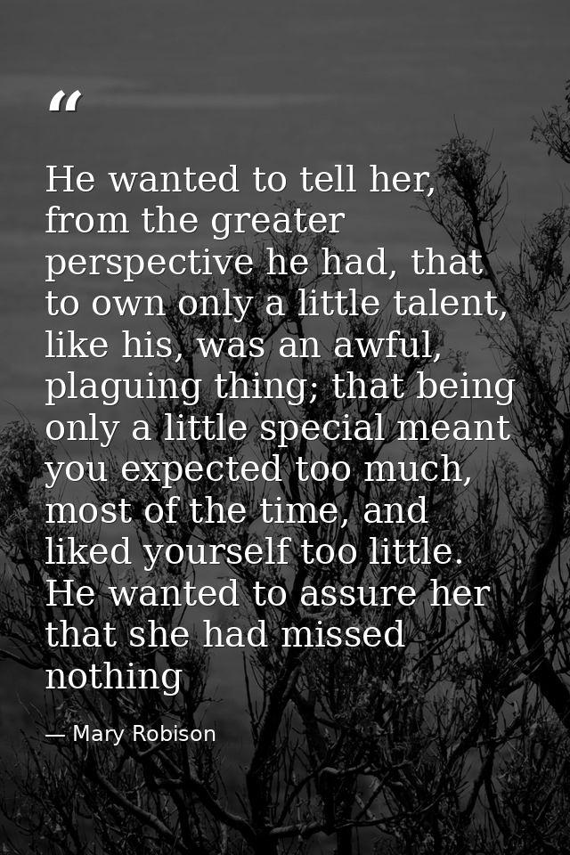 He wanted to tell her, from the greater perspective he had, that to own only a little talent, like his, was an awful, pl — Mary Robison