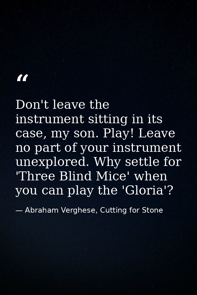 Don't leave the instrument sitting in its case, my son. Play! Leave no part of your instrument unexplored. Why settle fo — Abraham Verghese, Cutting for Stone