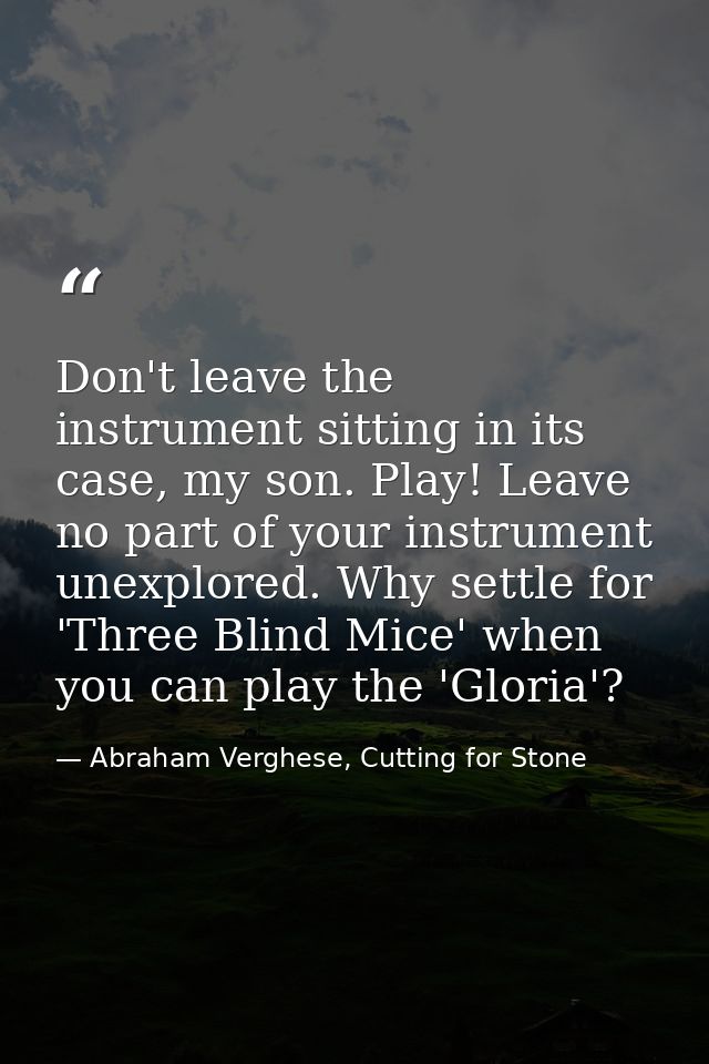 Don't leave the instrument sitting in its case, my son. Play! Leave no part of your instrument unexplored. Why settle fo — Abraham Verghese, Cutting for Stone