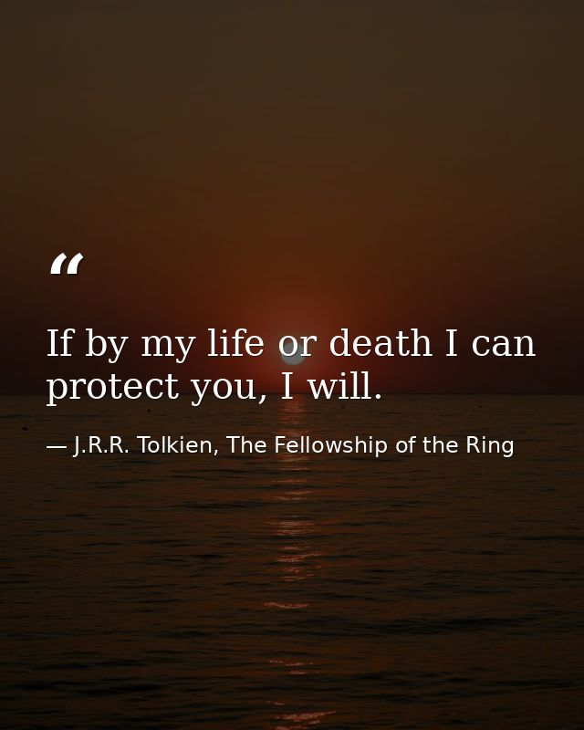 If by my life or death I can protect you, I will. — J.R.R. Tolkien, The Fellowship of the Ring
