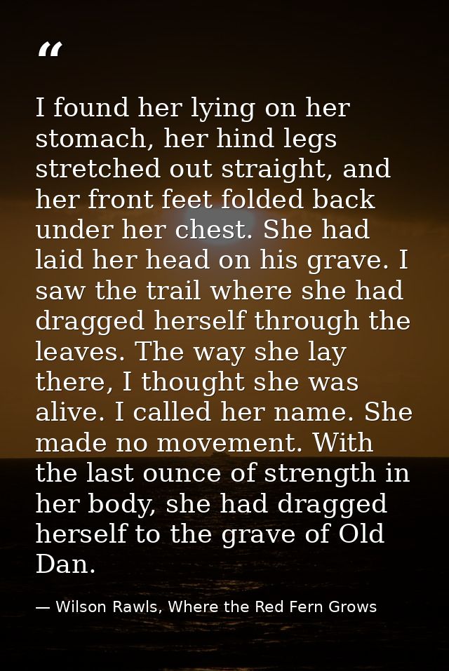 I found her lying on her stomach, her hind legs stretched out straight, and her front feet folded back under her chest.  — Wilson Rawls, Where the Red Fern Grows
