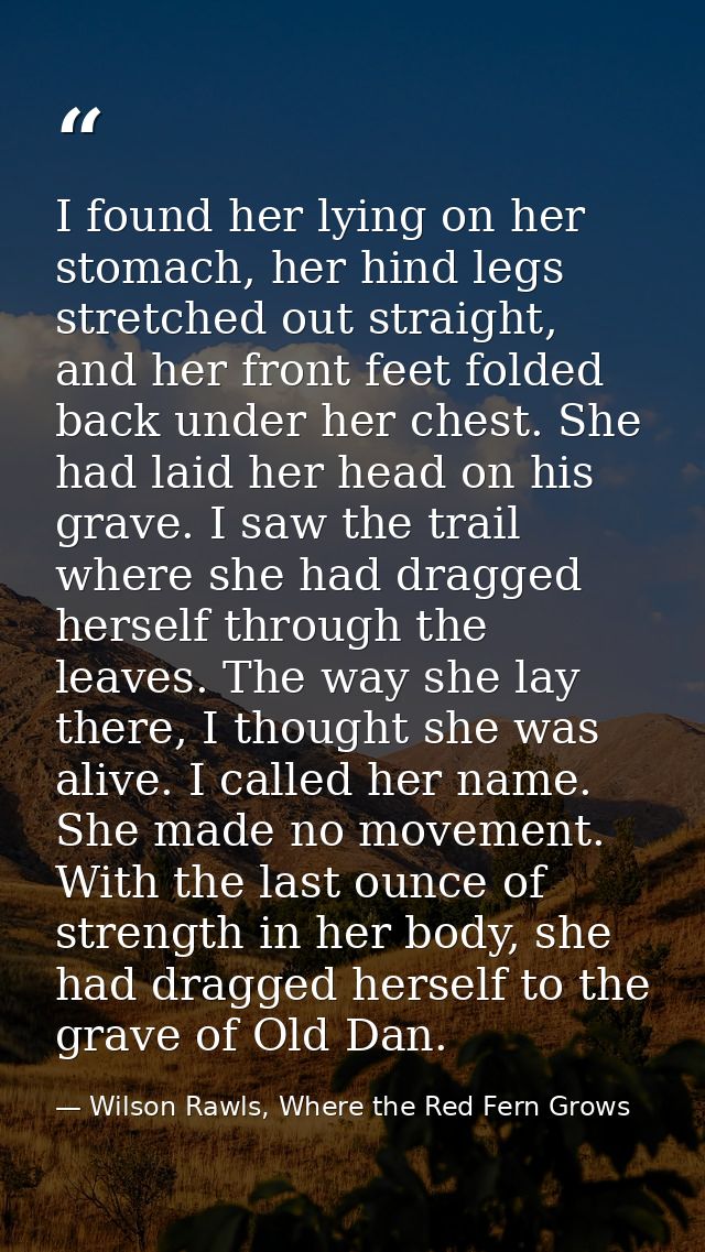 I found her lying on her stomach, her hind legs stretched out straight, and her front feet folded back under her chest.  — Wilson Rawls, Where the Red Fern Grows
