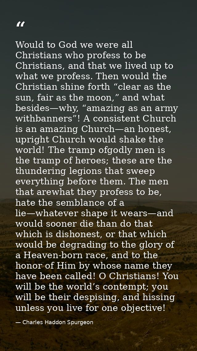 Would to God we were all Christians who profess to be Christians, and that we lived up to what we profess. Then would th — Charles Haddon Spurgeon
