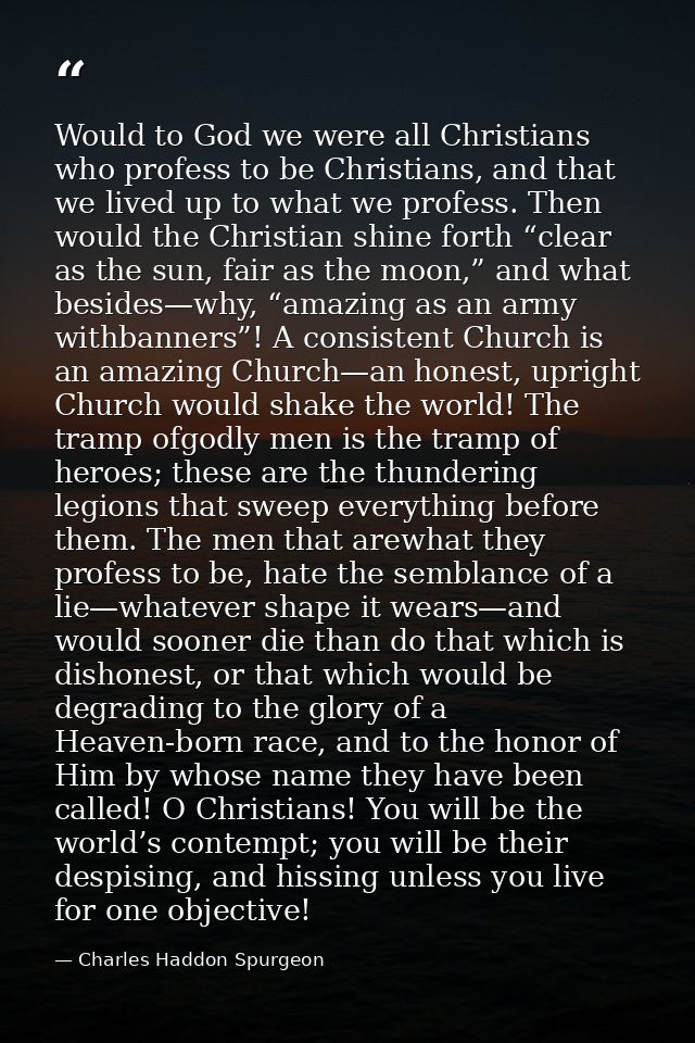 Would to God we were all Christians who profess to be Christians, and that we lived up to what we profess. Then would th — Charles Haddon Spurgeon