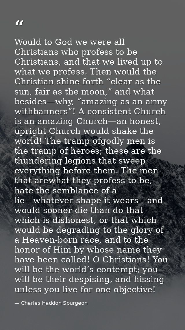 Would to God we were all Christians who profess to be Christians, and that we lived up to what we profess. Then would th — Charles Haddon Spurgeon