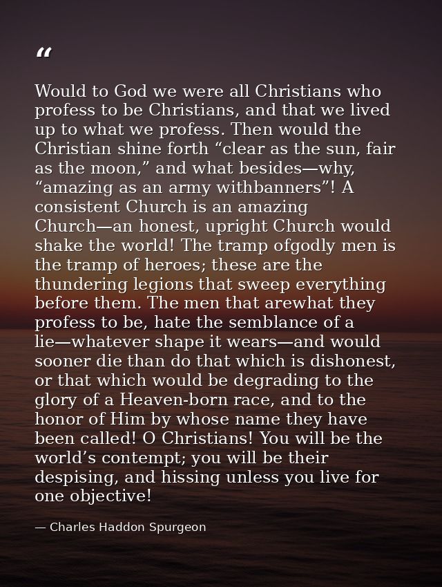 Would to God we were all Christians who profess to be Christians, and that we lived up to what we profess. Then would th — Charles Haddon Spurgeon