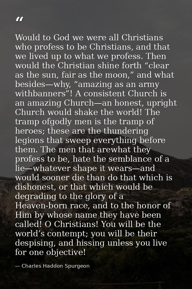 Would to God we were all Christians who profess to be Christians, and that we lived up to what we profess. Then would th — Charles Haddon Spurgeon