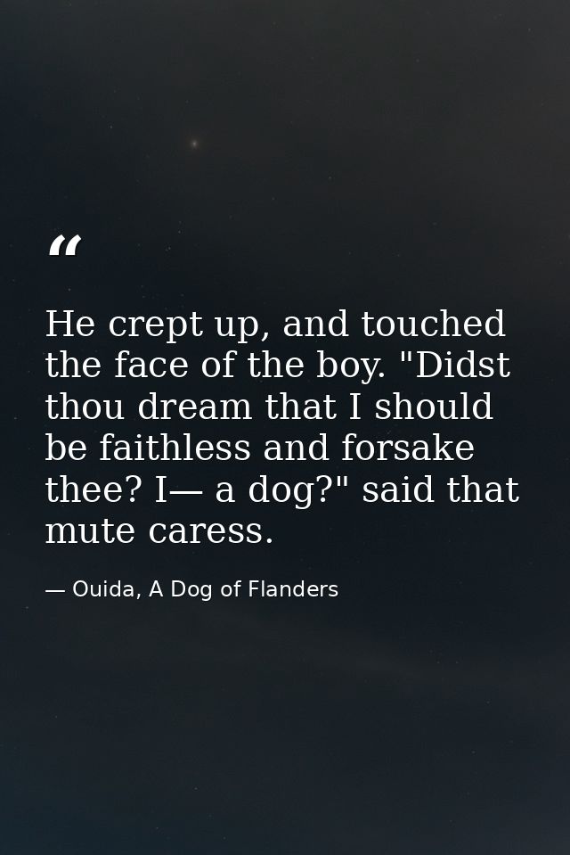 He crept up, and touched the face of the boy. "Didst thou dream that I should be faithless and forsake thee? I— a dog?"  — Ouida, A Dog of Flanders