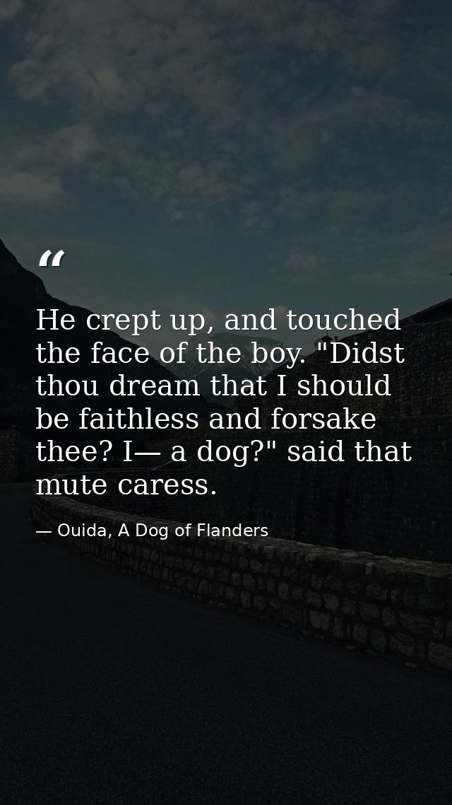 He crept up, and touched the face of the boy. "Didst thou dream that I should be faithless and forsake thee? I— a dog?"  — Ouida, A Dog of Flanders