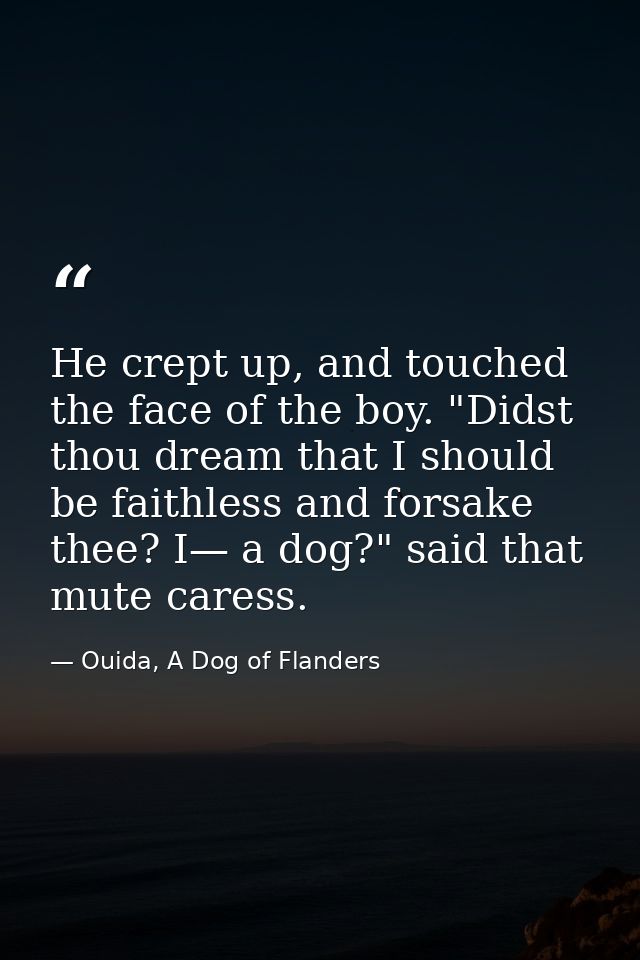 He crept up, and touched the face of the boy. "Didst thou dream that I should be faithless and forsake thee? I— a dog?"  — Ouida, A Dog of Flanders
