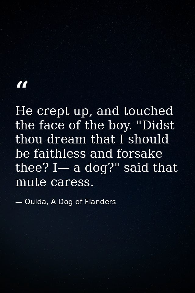 He crept up, and touched the face of the boy. "Didst thou dream that I should be faithless and forsake thee? I— a dog?"  — Ouida, A Dog of Flanders