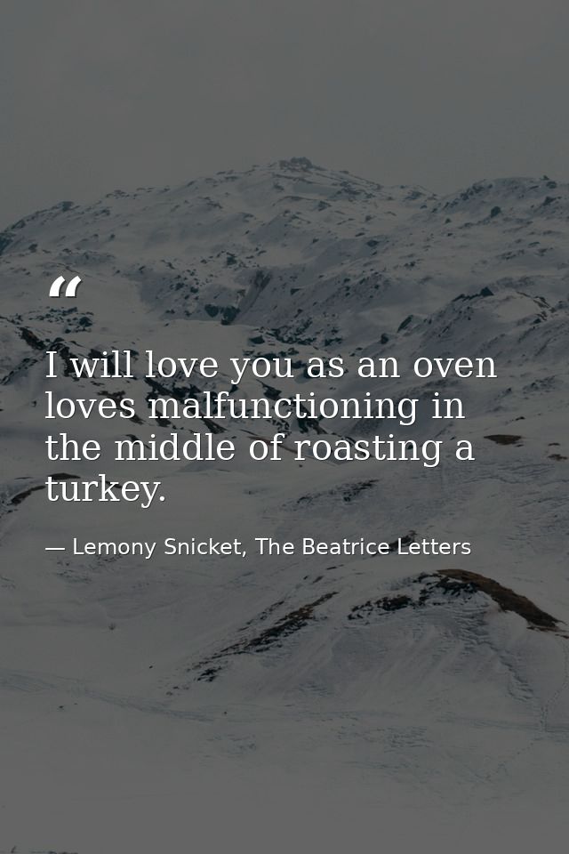 I will love you as an oven loves malfunctioning in the middle of roasting a turkey. — Lemony Snicket, The Beatrice Letters
