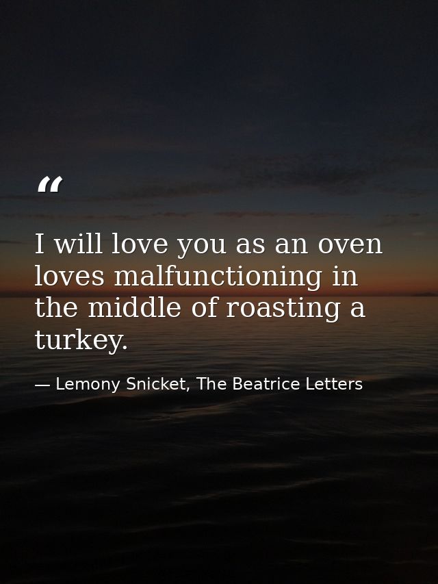 I will love you as an oven loves malfunctioning in the middle of roasting a turkey. — Lemony Snicket, The Beatrice Letters
