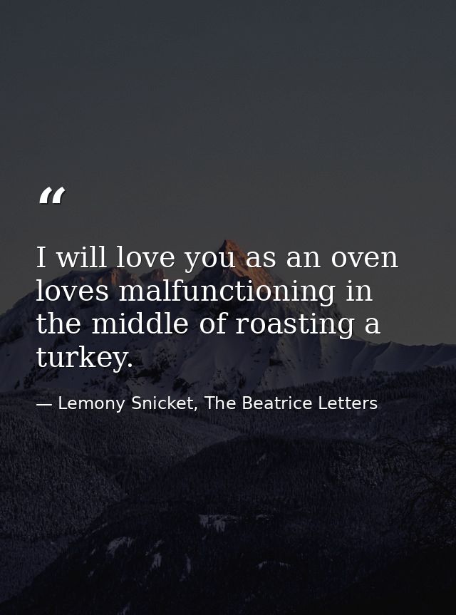 I will love you as an oven loves malfunctioning in the middle of roasting a turkey. — Lemony Snicket, The Beatrice Letters
