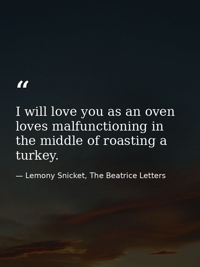 I will love you as an oven loves malfunctioning in the middle of roasting a turkey. — Lemony Snicket, The Beatrice Letters