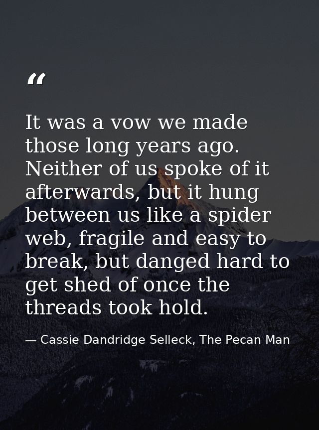 It was a vow we made those long years ago. Neither of us spoke of it afterwards, but it hung between us like a spider we — Cassie Dandridge Selleck, The Pecan Man