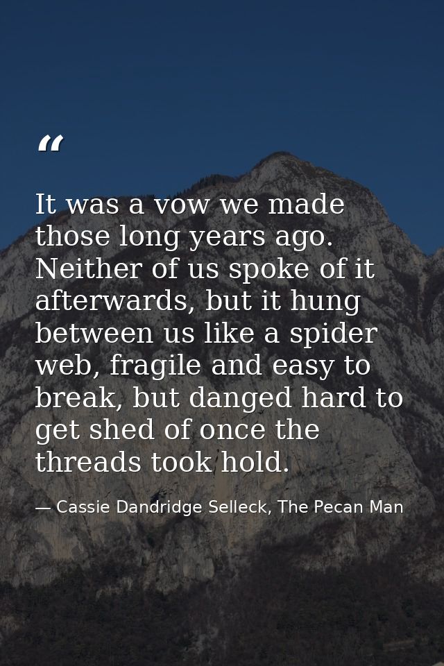 It was a vow we made those long years ago. Neither of us spoke of it afterwards, but it hung between us like a spider we — Cassie Dandridge Selleck, The Pecan Man