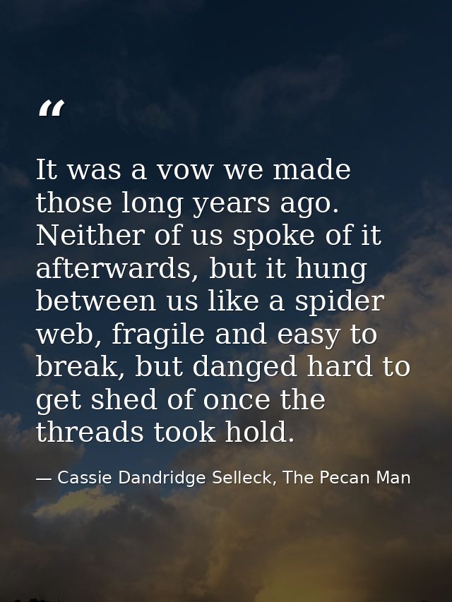 It was a vow we made those long years ago. Neither of us spoke of it afterwards, but it hung between us like a spider we — Cassie Dandridge Selleck, The Pecan Man