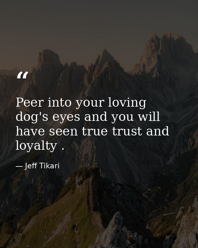 Peer into your loving dog's eyes and you will have seen true trust and loyalty . — Jeff Tikari