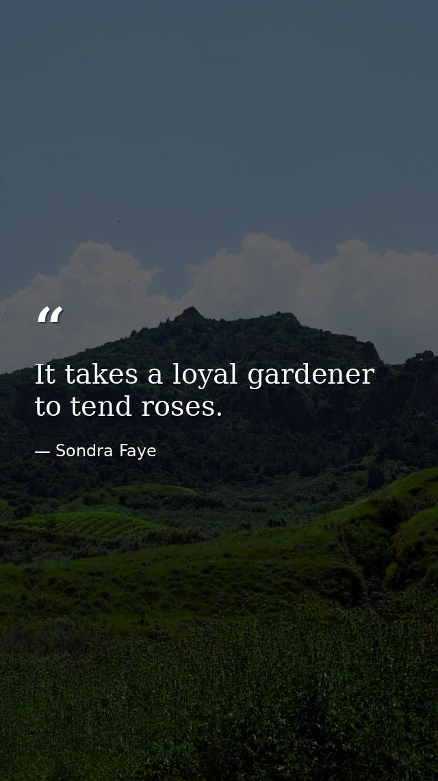 It takes a loyal gardener to tend roses. — Sondra Faye