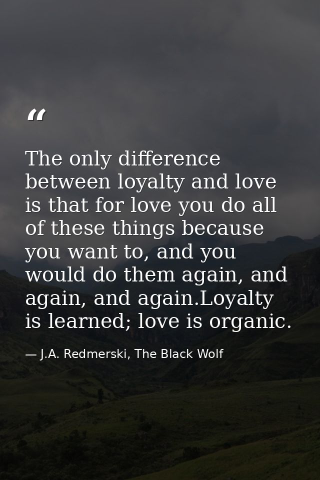 The only difference between loyalty and love is that for love you do all of these things because you want to, and you wo — J.A. Redmerski, The Black Wolf