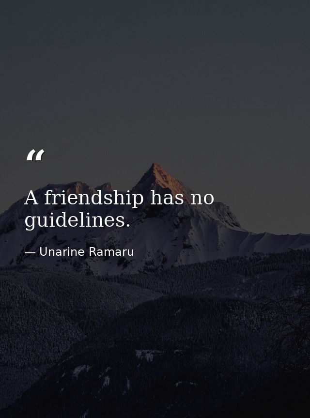 A friendship has no guidelines. — Unarine Ramaru