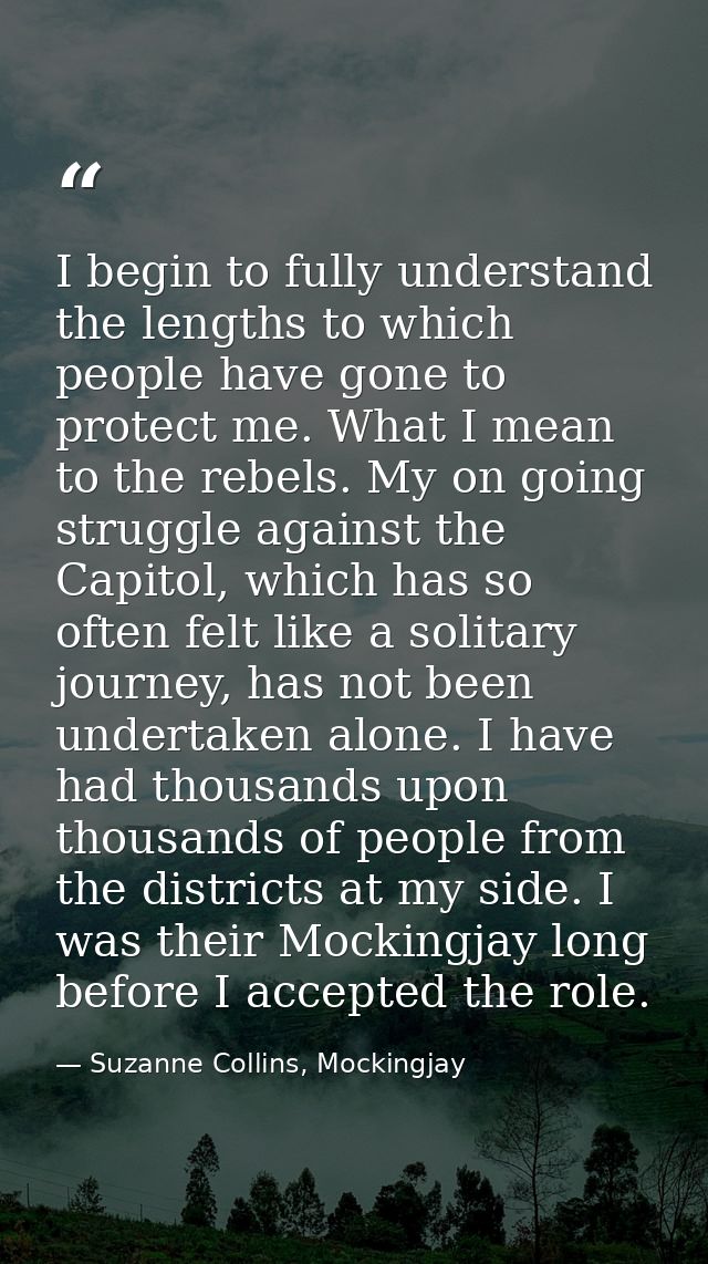 I begin to fully understand the lengths to which people have gone to protect me. What I mean to the rebels. My on going  — Suzanne Collins, Mockingjay