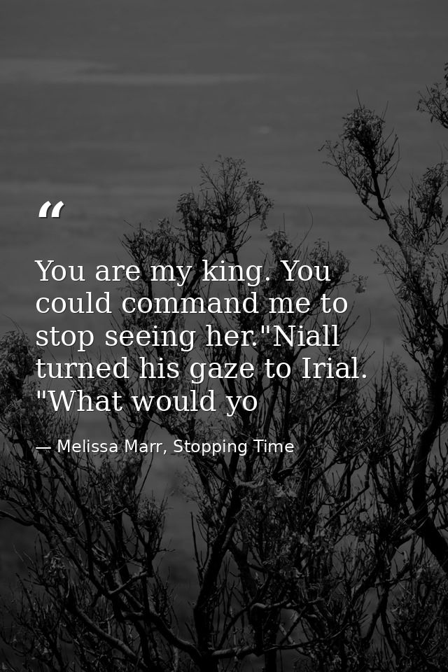 You are my king. You could command me to stop seeing her."Niall turned his gaze to Irial. "What would yo — Melissa Marr, Stopping Time