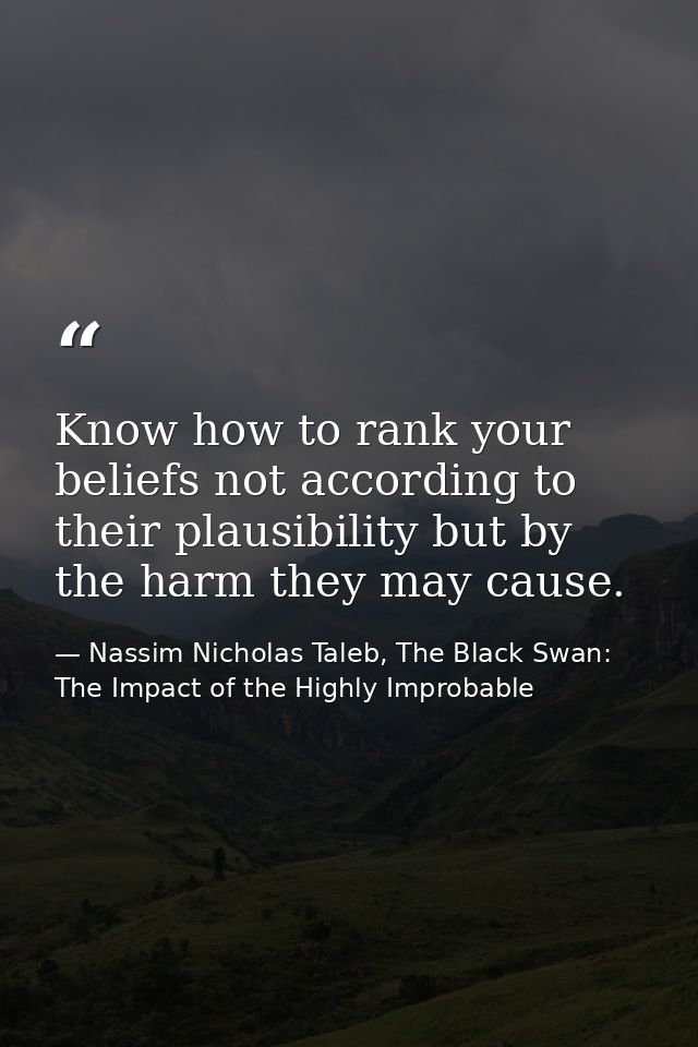 Know how to rank your beliefs not according to their plausibility but by the harm they may cause. — Nassim Nicholas Taleb, The Black Swan: The Impact of the Highly Improbable
