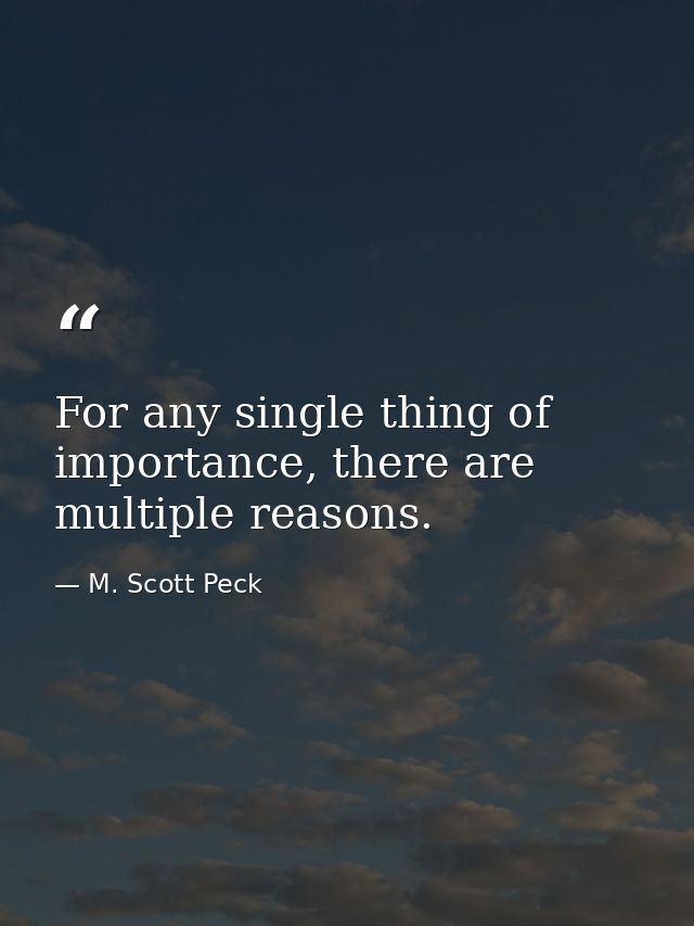 For any single thing of importance, there are multiple reasons. — M. Scott Peck