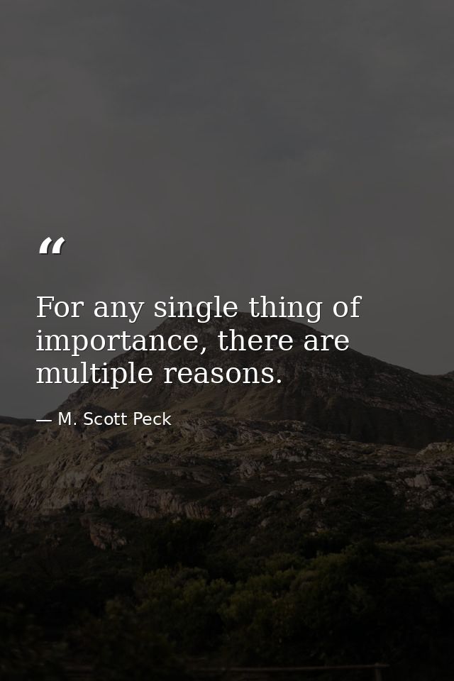 For any single thing of importance, there are multiple reasons. — M. Scott Peck
