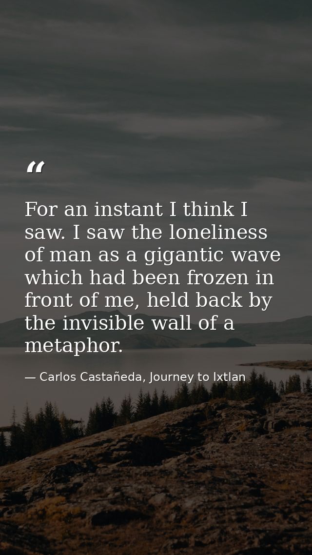 For an instant I think I saw. I saw the loneliness of man as a gigantic wave which had been frozen in front of me, held  — Carlos Castañeda, Journey to Ixtlan