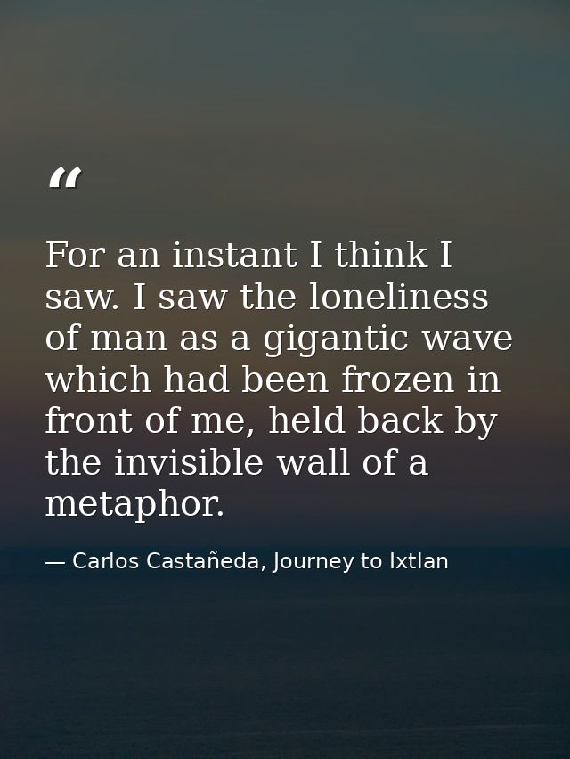For an instant I think I saw. I saw the loneliness of man as a gigantic wave which had been frozen in front of me, held  — Carlos Castañeda, Journey to Ixtlan