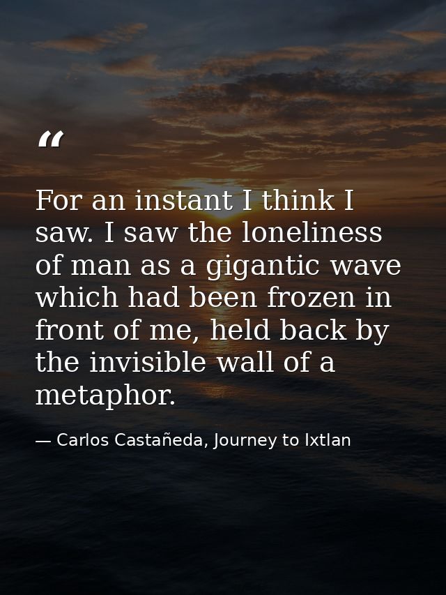 For an instant I think I saw. I saw the loneliness of man as a gigantic wave which had been frozen in front of me, held  — Carlos Castañeda, Journey to Ixtlan