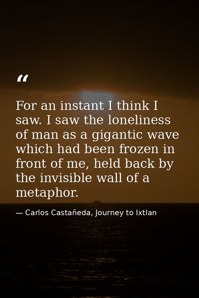 For an instant I think I saw. I saw the loneliness of man as a gigantic wave which had been frozen in front of me, held  — Carlos Castañeda, Journey to Ixtlan