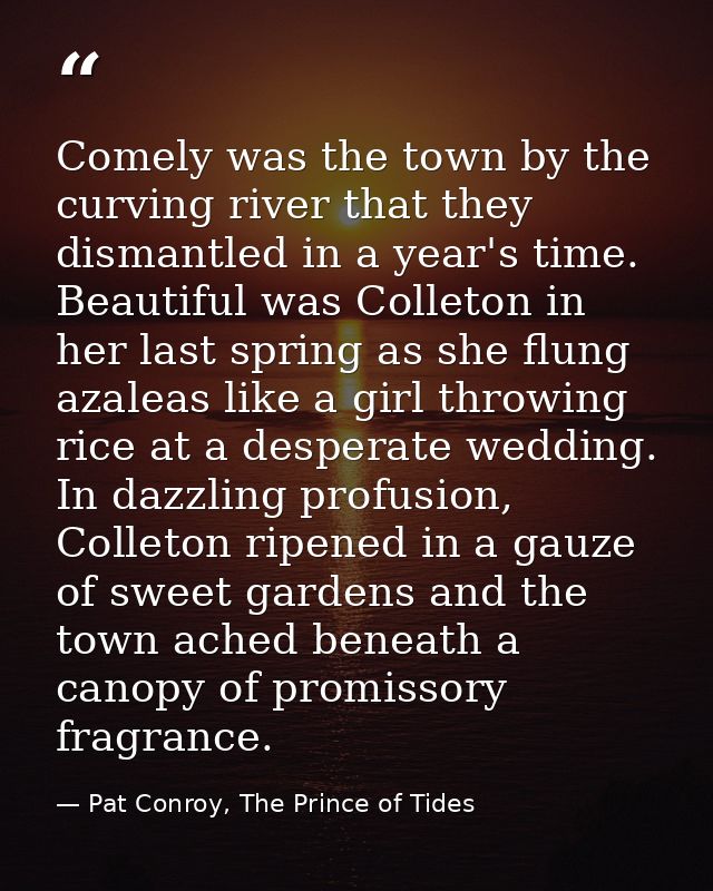 Comely was the town by the curving river that they dismantled in a year's time. Beautiful was Colleton in her last sprin — Pat Conroy, The Prince of Tides