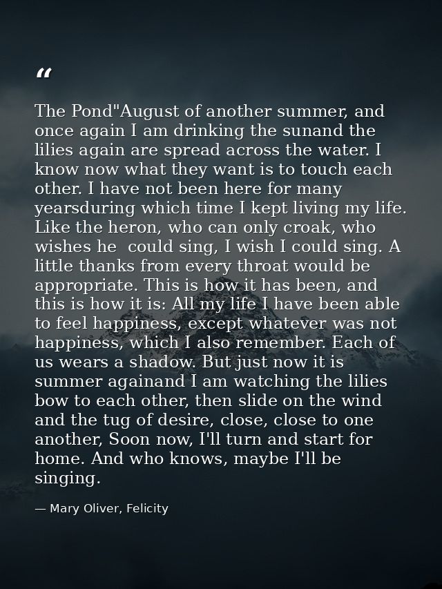 The Pond"August of another summer, and once again I am drinking the sunand the lilies again are spread across the water. — Mary Oliver, Felicity
