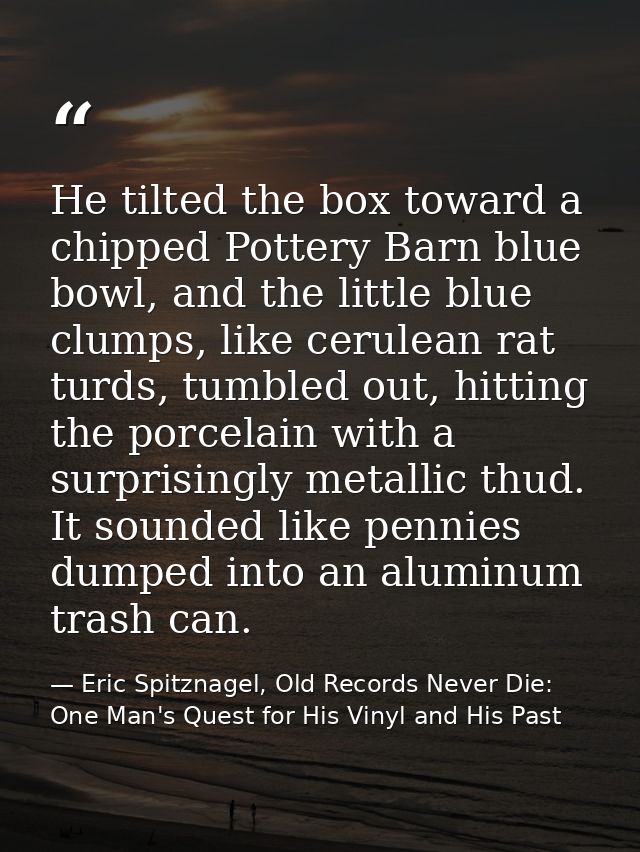 He tilted the box toward a chipped Pottery Barn blue bowl, and the little blue clumps, like cerulean rat turds, tumbled  — Eric Spitznagel, Old Records Never Die: One Man's Quest for His Vinyl and His Past