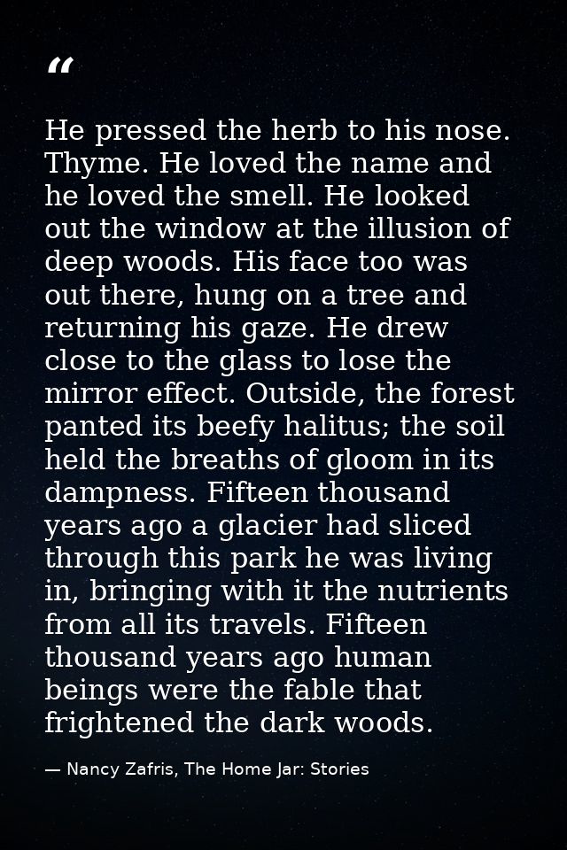 He pressed the herb to his nose. Thyme. He loved the name and he loved the smell. He looked out the window at the illusi — Nancy Zafris, The Home Jar: Stories