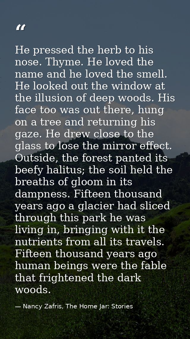 He pressed the herb to his nose. Thyme. He loved the name and he loved the smell. He looked out the window at the illusi — Nancy Zafris, The Home Jar: Stories